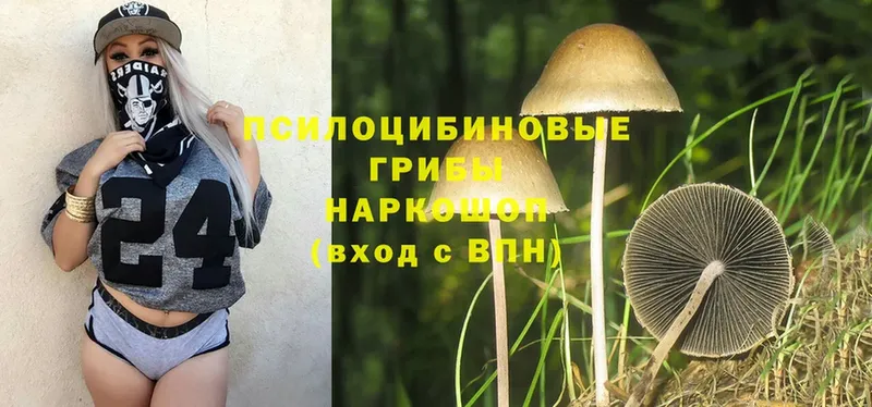 Псилоцибиновые грибы MAGIC MUSHROOMS  Княгинино 